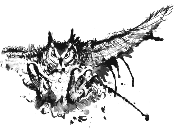 Иллюстрация к книге — Император последнего дня [i_020.png]