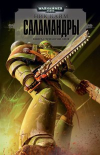 Книга Саламандры. Книга 1. Трилогии огня