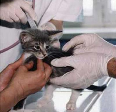 Иллюстрация к книге — Надежда [Autogen_eBook_id2.jpg]