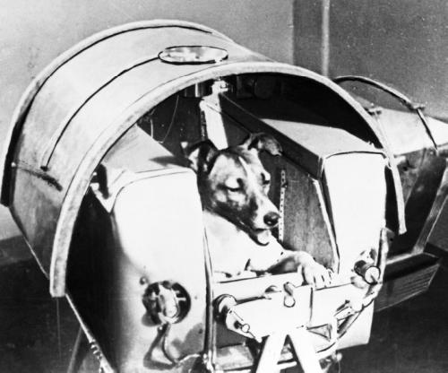 Иллюстрация к книге — Надежда [Autogen_eBook_id7.jpg]