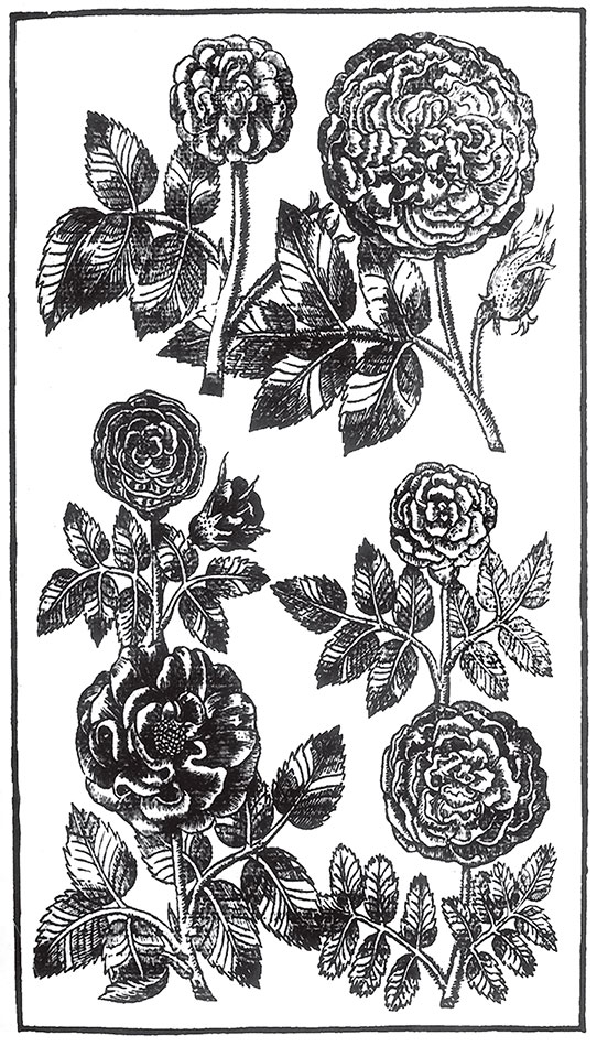 Иллюстрация к книге — Пир Джона Сатурналла [i_010.jpg]