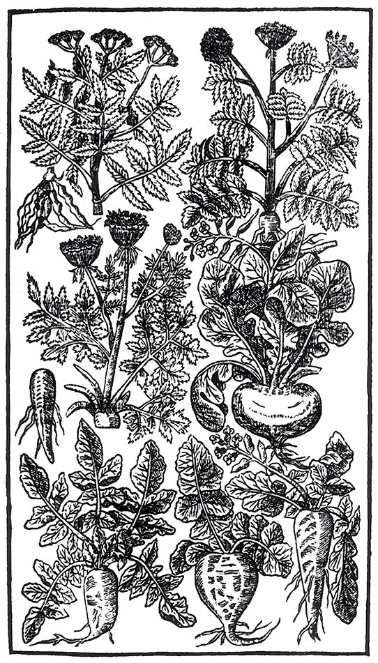 Иллюстрация к книге — Пир Джона Сатурналла [i_013.jpg]