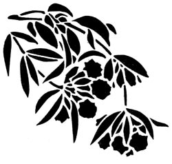 Иллюстрация к книге — Бали. Шесть соток в раю [i_004.jpg]