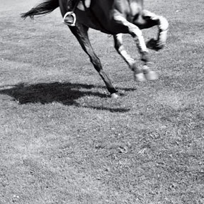 Иллюстрация к книге — Жена-22 [Autogen_eBook_id1.jpg]