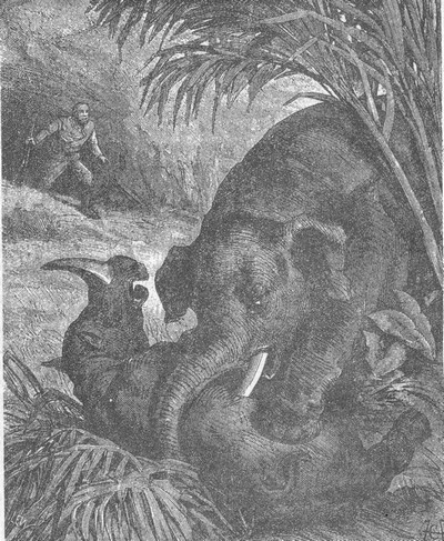 Иллюстрация к книге — В дебрях Индии [i_008.jpg]