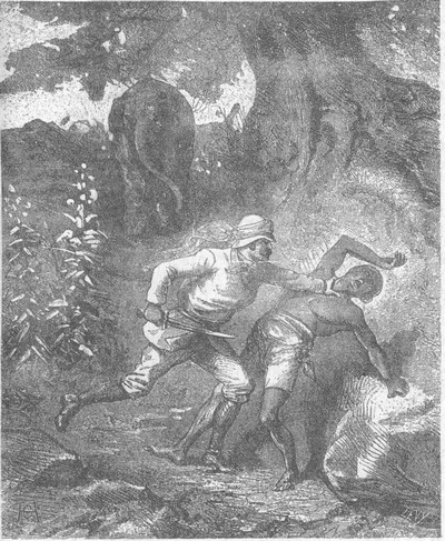 Иллюстрация к книге — В дебрях Индии [i_011.jpg]