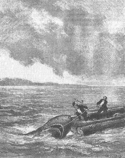 Иллюстрация к книге — Затерянные в океане [i_020.jpg]