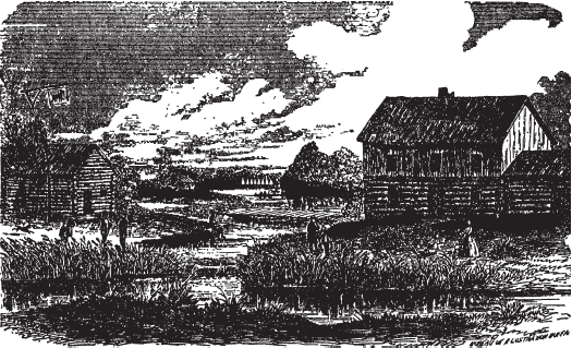 Иллюстрация к книге — Банды Чикаго [_03.png]