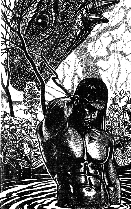 Иллюстрация к книге — Дураков здесь нет! или Приключения дракоши [i_001.png]