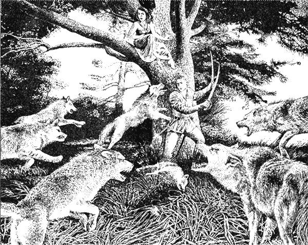 Иллюстрация к книге — Путешествие на восток [i_001.png]