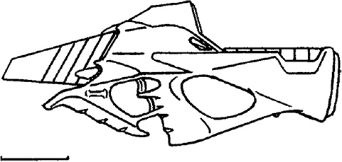 Иллюстрация к книге — Кей Дач [i_014.jpg]