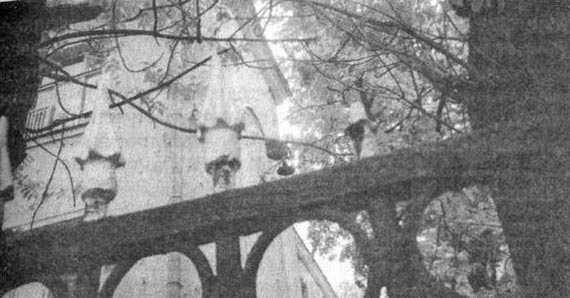 Иллюстрация к книге — Детство Левы [i_011.jpg]