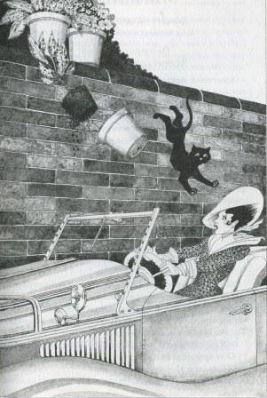 Иллюстрация к книге — Последний черный кот [img047.jpg]