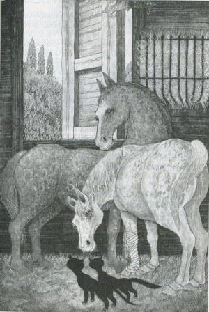 Иллюстрация к книге — Последний черный кот [img077.jpg]