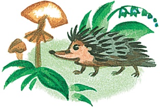 Иллюстрация к книге — Все о Чебурашке и Крокодиле Гене [i_226.jpg]