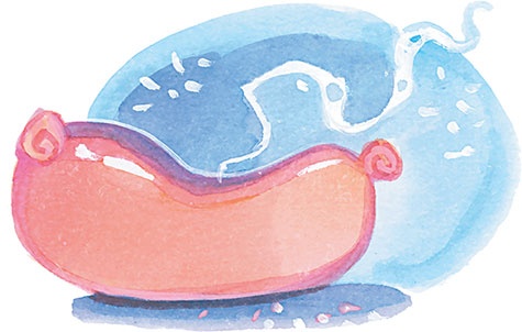 Иллюстрация к книге — Олимпиада для Чебурашки, или Чебурашка едет в Сочи [i_046.jpg]