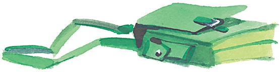 Иллюстрация к книге — Олимпиада для Чебурашки, или Чебурашка едет в Сочи [i_071.jpg]