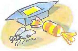 Иллюстрация к книге — Дядя Федор, пес и кот [i_006.jpg]