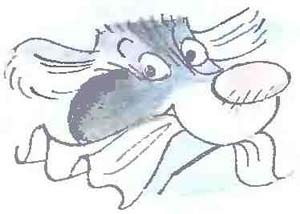 Иллюстрация к книге — Дядя Федор, пес и кот [i_043.jpg]