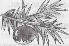 Иллюстрация к книге — Праздники в деревне Простоквашино [img_0.jpg]