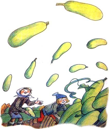 Иллюстрация к книге — 25 профессий Маши Филипенко [i_013.jpg]