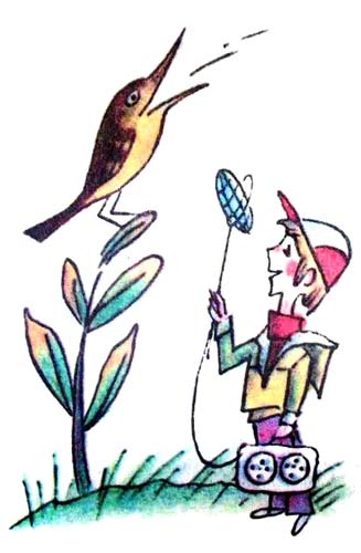 Иллюстрация к книге — 25 профессий Маши Филипенко [i_052.jpg]