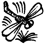 Иллюстрация к книге — Вниз по волшебной реке [i_034.jpg]