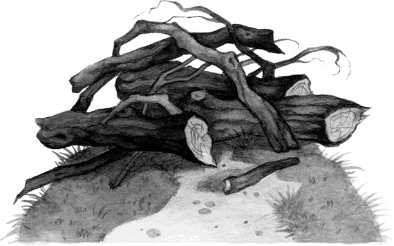 Иллюстрация к книге — Вниз по волшебной реке [i_012.jpg]