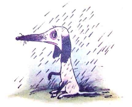 Иллюстрация к книге — Колобок идет по следу. Книга 1 [u1_8.jpg]