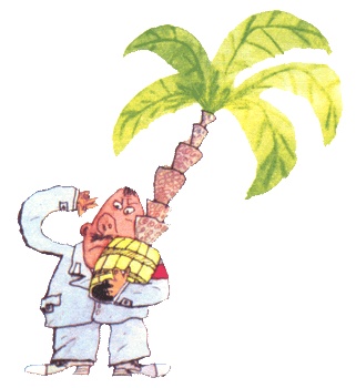 Иллюстрация к книге — Лекции профессора Чайникова [i_029.jpg]