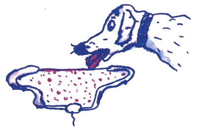 Иллюстрация к книге — Лекции профессора Чайникова [i_076.jpg]