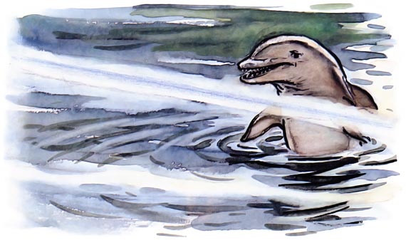 Иллюстрация к книге — Подводные береты [i_019.jpg]