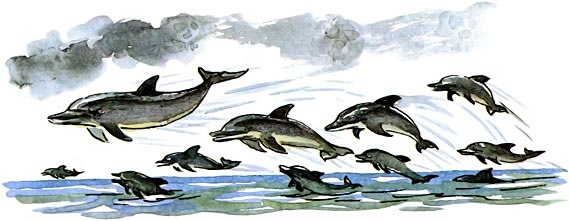 Иллюстрация к книге — Подводные береты [i_035.jpg]