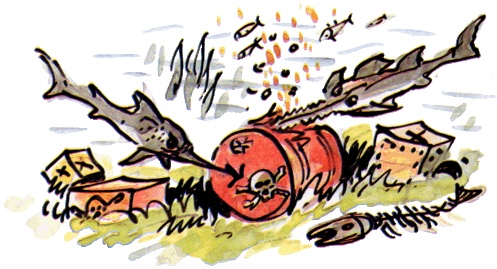 Иллюстрация к книге — Подводные береты [i_041.jpg]