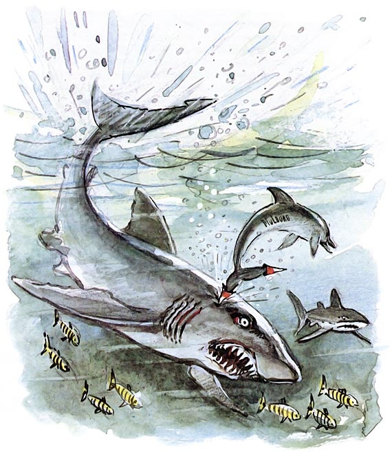 Иллюстрация к книге — Подводные береты [i_049.jpg]