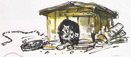 Иллюстрация к книге — Рассказы о природе [i_002.jpg]