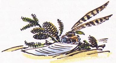 Иллюстрация к книге — Рассказы о природе [i_004.jpg]