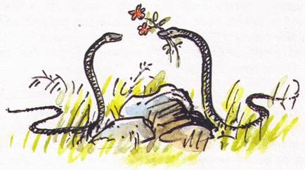 Иллюстрация к книге — Рассказы о природе [i_006.jpg]