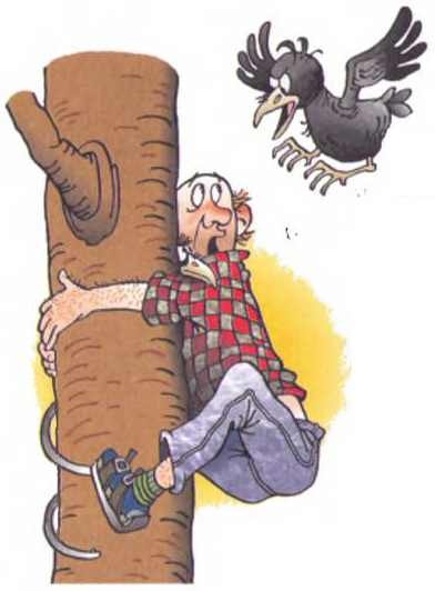 Иллюстрация к книге — Случай со степанидом [i_011.jpg]