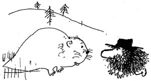 Иллюстрация к книге — Страшный господин Ау [i_013.jpg]