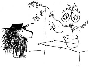 Иллюстрация к книге — Страшный господин Ау [i_049.jpg]