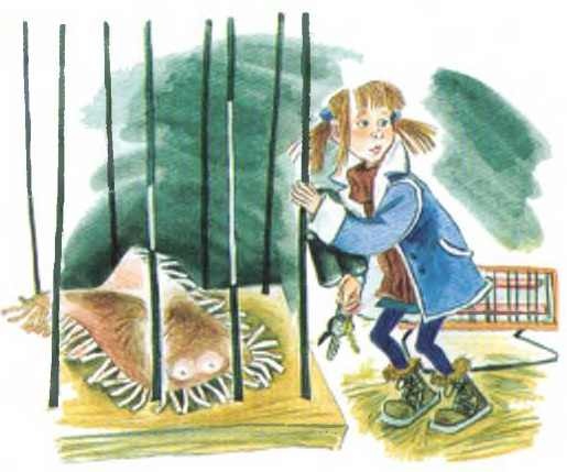 Иллюстрация к книге — Таинственный гость из космоса [i_011.jpg]