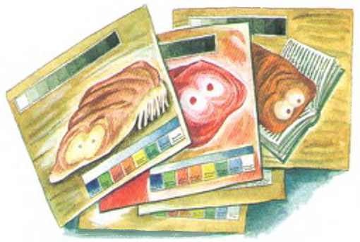 Иллюстрация к книге — Таинственный гость из космоса [i_014.jpg]