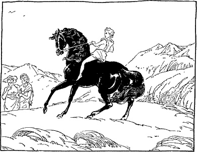 Иллюстрация к книге — Сын Зевса [i_004.jpg]