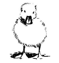 Иллюстрация к книге — Весна [i_002.jpg]