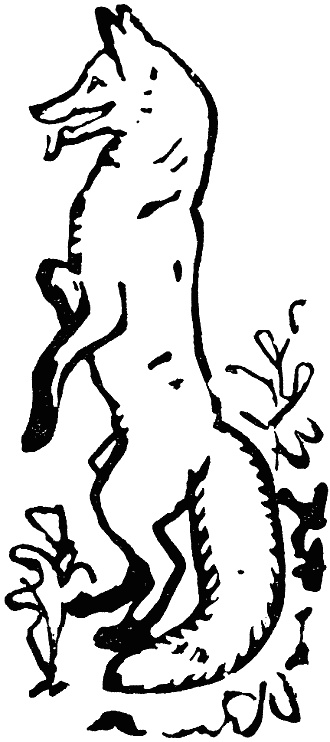 Иллюстрация к книге — В долинах Рингваака [= Рыжий Лис ] [i_002.jpg]