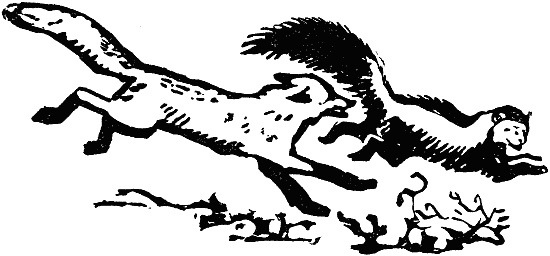 Иллюстрация к книге — В долинах Рингваака [= Рыжий Лис ] [i_003.jpg]