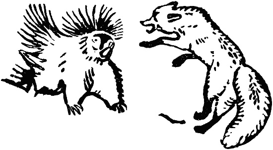 Иллюстрация к книге — В долинах Рингваака [= Рыжий Лис ] [i_006.jpg]