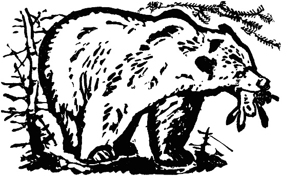 Иллюстрация к книге — В долинах Рингваака [= Рыжий Лис ] [i_007.jpg]