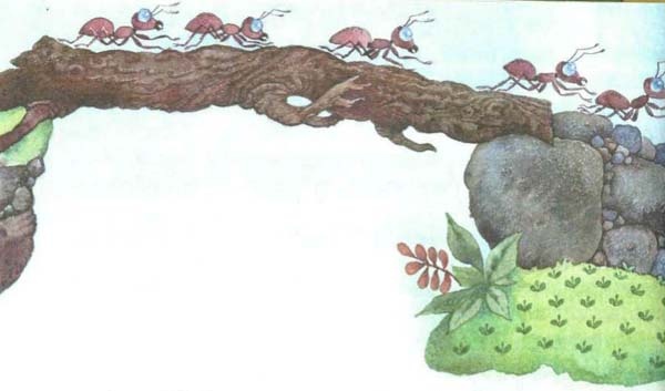 Иллюстрация к книге — Хербе Большая Шляпа [i_009.jpg]